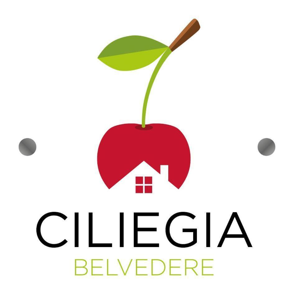 Вилла Ciliegia Di Lari - Attico Экстерьер фото